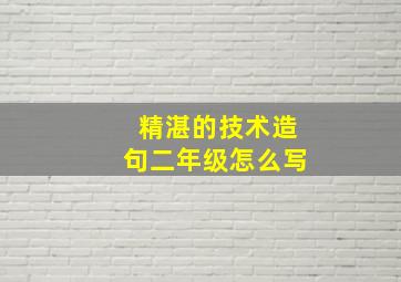 精湛的技术造句二年级怎么写