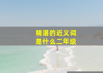 精湛的近义词是什么二年级