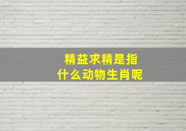 精益求精是指什么动物生肖呢