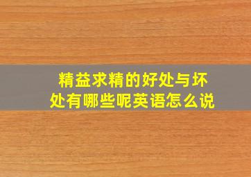 精益求精的好处与坏处有哪些呢英语怎么说