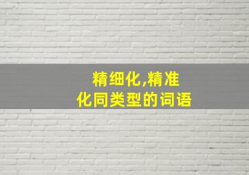 精细化,精准化同类型的词语