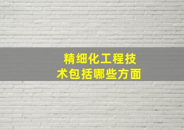 精细化工程技术包括哪些方面