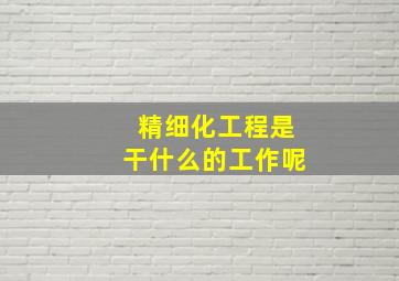 精细化工程是干什么的工作呢