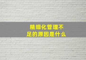 精细化管理不足的原因是什么