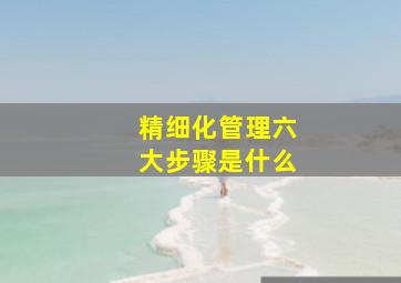 精细化管理六大步骤是什么