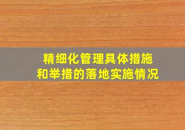 精细化管理具体措施和举措的落地实施情况