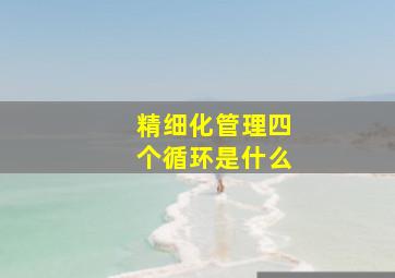 精细化管理四个循环是什么