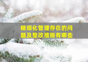 精细化管理存在的问题及整改措施有哪些