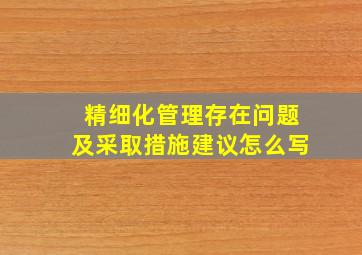 精细化管理存在问题及采取措施建议怎么写