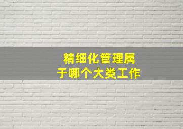 精细化管理属于哪个大类工作