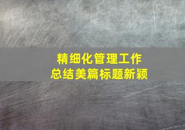 精细化管理工作总结美篇标题新颖