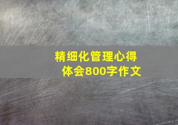 精细化管理心得体会800字作文