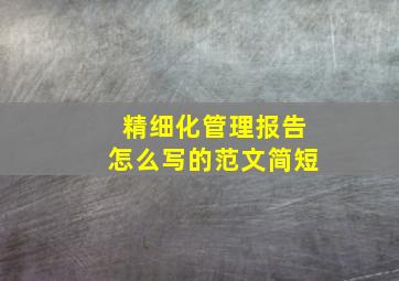 精细化管理报告怎么写的范文简短