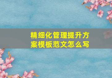 精细化管理提升方案模板范文怎么写