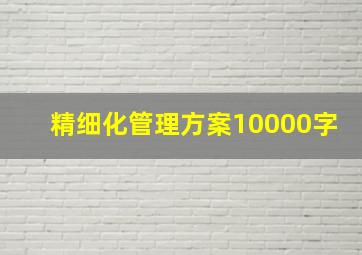 精细化管理方案10000字