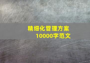 精细化管理方案10000字范文