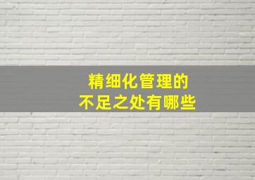 精细化管理的不足之处有哪些