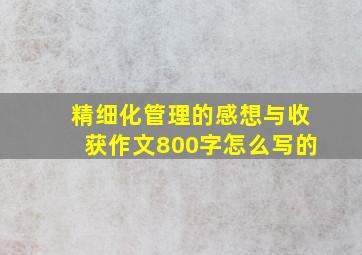 精细化管理的感想与收获作文800字怎么写的