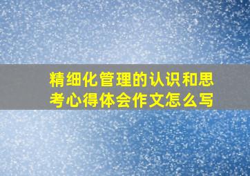 精细化管理的认识和思考心得体会作文怎么写