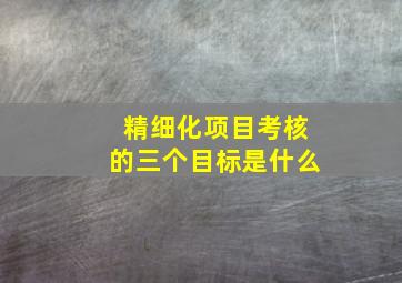 精细化项目考核的三个目标是什么