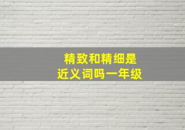 精致和精细是近义词吗一年级