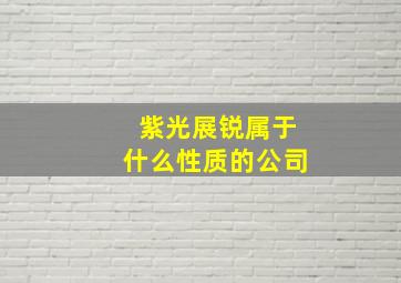 紫光展锐属于什么性质的公司