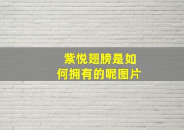 紫悦翅膀是如何拥有的呢图片