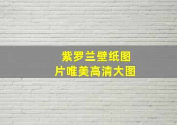 紫罗兰壁纸图片唯美高清大图