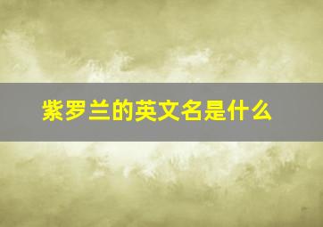 紫罗兰的英文名是什么