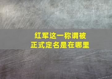 红军这一称谓被正式定名是在哪里