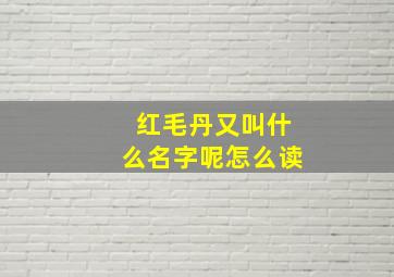 红毛丹又叫什么名字呢怎么读