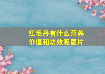 红毛丹有什么营养价值和功效呢图片