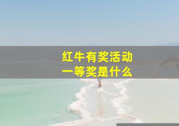 红牛有奖活动一等奖是什么