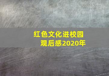 红色文化进校园观后感2020年