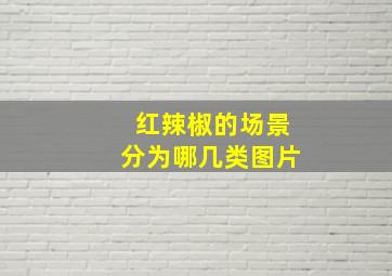 红辣椒的场景分为哪几类图片