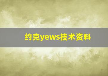 约克yews技术资料