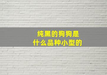 纯黑的狗狗是什么品种小型的