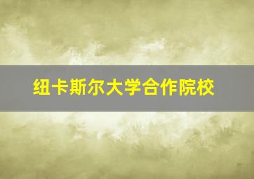 纽卡斯尔大学合作院校