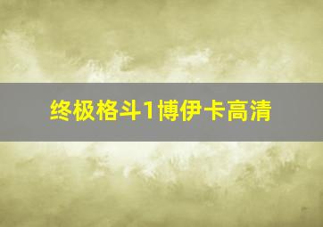 终极格斗1博伊卡高清