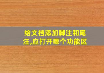 给文档添加脚注和尾注,应打开哪个功能区