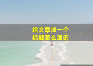 给文章加一个标题怎么加的