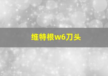 维特根w6刀头