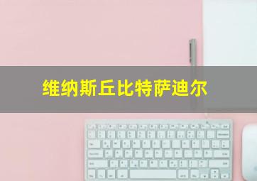 维纳斯丘比特萨迪尔