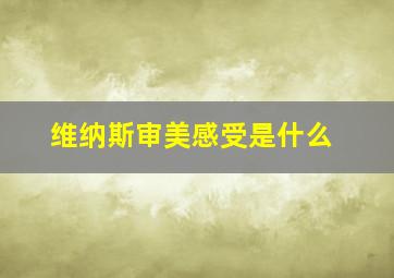 维纳斯审美感受是什么