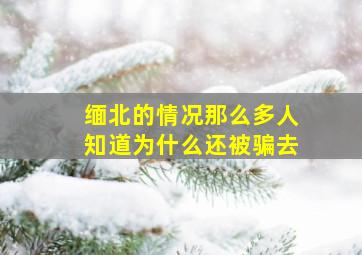 缅北的情况那么多人知道为什么还被骗去