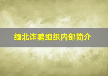 缅北诈骗组织内部简介