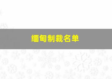 缅甸制裁名单