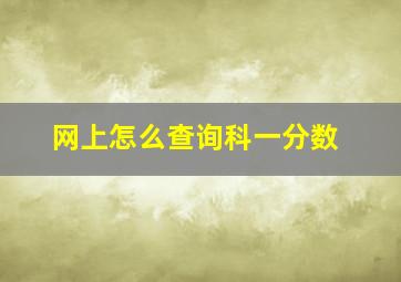 网上怎么查询科一分数