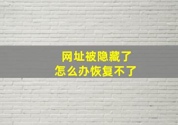 网址被隐藏了怎么办恢复不了