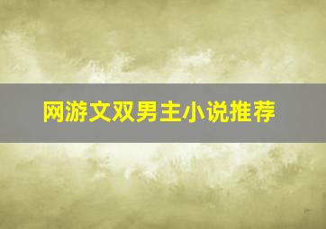 网游文双男主小说推荐